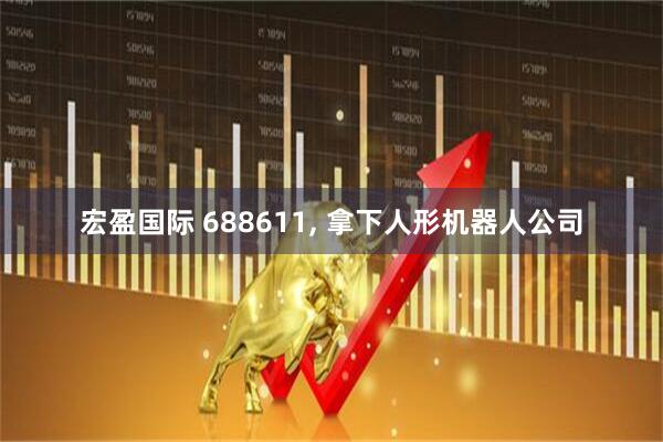 宏盈国际 688611, 拿下人形机器人公司